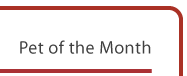 pet of the month